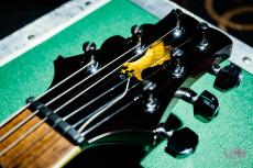 Paul Reed Smith [PRS] Private Stock Howard Leese "Golden Eagle" Limited Run 96/100 / 2009_3