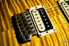 Paul Reed Smith [PRS] Private Stock Howard Leese "Golden Eagle" Limited Run 96/100 / 2009_5