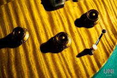 Paul Reed Smith [PRS] Private Stock Howard Leese "Golden Eagle" Limited Run 96/100 / 2009_6