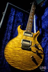 Paul Reed Smith [PRS] Private Stock Howard Leese "Golden Eagle" Limited Run 96/100 / 2009_11