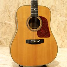 Gallagher Doc Watson 1996