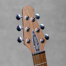 Powers Electric A-Type / PF42 / Camtail / Mint Green_9