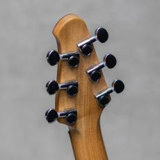 Powers Electric A-Type / PF42 / Camtail / Mint Green_10