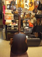 Taylor AD17 (2021)_3