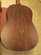 Taylor AD17 (2021)_4