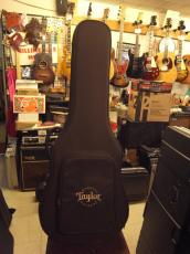 Taylor AD17 (2021)_9