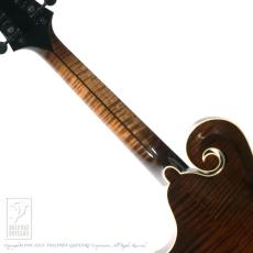Northfield Mandolins NFB-F5A "BIG MON"_5