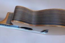 Lowden S-25J Nylon Strings / Venetian Cutaway・Solid Western Red Cedar Top・Solid Wast Indian Rosewood Side and Back・5-Piece Mahogany Neck・ Ebony Fingerboard・Jacaranda Bridge・Multi Wood Binding・Fishman Active _5