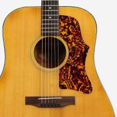 Gibson J-50 Deluxe *1974-1975_5