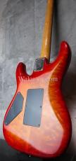 Valley Arts Custom Pro USA '93 / Fire Burst_9