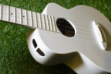 aNueNue LFG-NW Concert Longneck_5