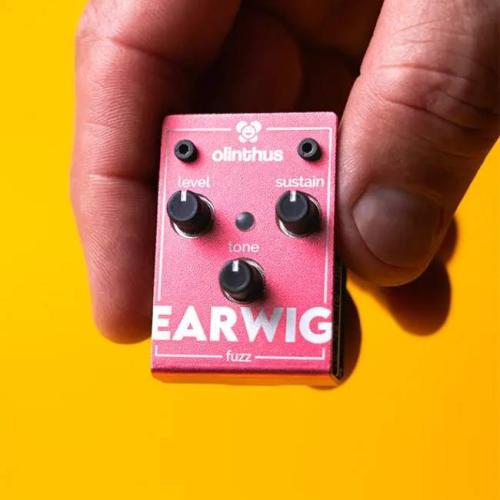Olinthus EARWIG《史上最小ファズ》【オンラインストア限定】