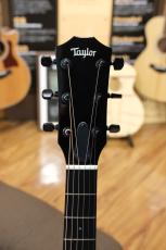 Taylor 214ce-BLK Plus_5