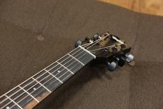 Taylor 214ce-BLK Plus_8