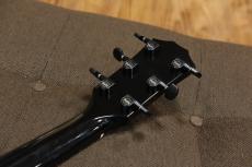 Taylor 214ce-BLK Plus_9