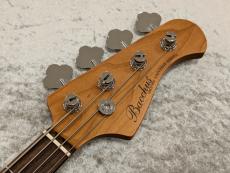 Bacchus BJB-1-RSM/R-BPPG / Gun-M (Gun-Metallic) 【4.40kg】_3