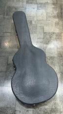 Ibanez AF105 Natural_11