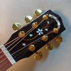 Headway 【現物画像】島村楽器限定　SHOC-SAKURA 霞夜桜 アコースティックギター Japan Tune-up SAKURA_3