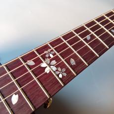 Headway 【現物画像】島村楽器限定　SHOC-SAKURA 霞夜桜 アコースティックギター Japan Tune-up SAKURA_4