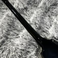 Aria Pro II CLASS AXE XV-05_7