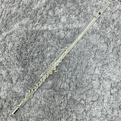 Altus 【USED品】A907E