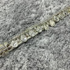 Altus 【USED品】A907E_4