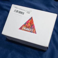 TRINITY EFFECTS LT FUZZ【USED】_4