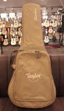 Taylor GS mini Sapele #2202145231【実物写真】【福岡店在庫】【分割手数料0%】【送料当社負担】_8