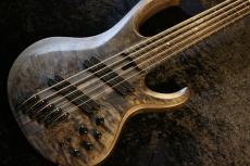 Ibanez BTB805MS -TGF (Transparent Gray Flat)-#I250803139 【4.82kg】_2