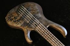 Ibanez BTB805MS -TGF (Transparent Gray Flat)-#I250803139 【4.82kg】_3