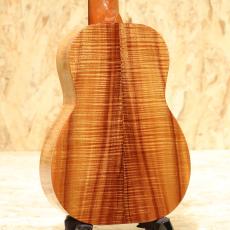 Kanile'a K-1C PG Concert_2