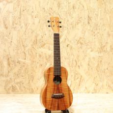 Kanile'a K-1C PG Concert_3