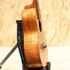 Kanile'a K-1C PG Concert_4