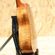 Kanile'a K-1C PG Concert_5