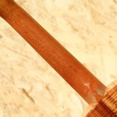 Kanile'a K-1C PG Concert_7