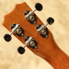 Kanile'a K-1C PG Concert_9