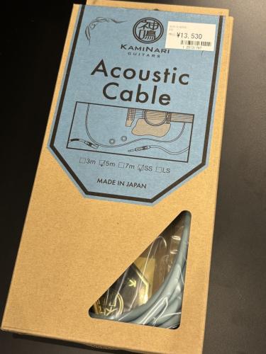 KAMINARI GUITARS K-AC5SS