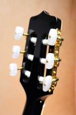 Takamine 【薄胴ボディ・ナット幅42mm】 TSP100 KT-N #【送料当社負担・最大48回分割無金利】_6