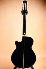 Takamine 【薄胴ボディ・ナット幅42mm】 TSP100 KT-N #【送料当社負担・最大48回分割無金利】_9