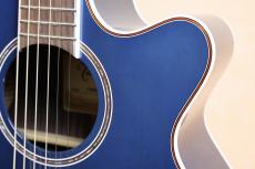 Takamine 【限定品・イチオシカラー】100 Custom CBG 【送料当社負担・最大48回分割無金利】_3