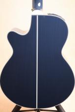 Takamine 【限定品・イチオシカラー】100 Custom CBG 【送料当社負担・最大48回分割無金利】_8