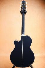 Takamine 【限定品・イチオシカラー】100 Custom CBG 【送料当社負担・最大48回分割無金利】_9