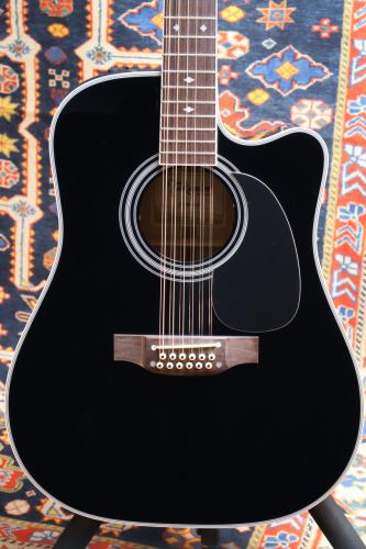 Takamine 【人気の12弦】EF381SC #63030380【送料当社負担・最大48回分割無金利】