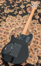 PEAVEY HP 2 Poplar Burl RM Transparent Black_7