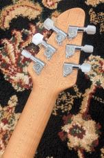 PEAVEY HP 2 Poplar Burl RM Transparent Black_10