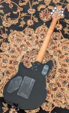 PEAVEY HP 2 Poplar Burl Transparent Blue_7