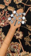 PEAVEY HP 2 Poplar Burl Transparent Blue_9