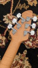 PEAVEY HP 2 Poplar Burl RM Natural_9