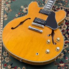James Tyler JSHG / James' Semi-Hollow Grail - Vintage Natural