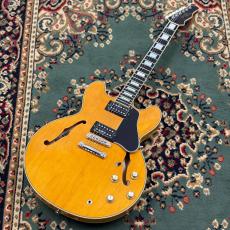 James Tyler JSHG / James' Semi-Hollow Grail - Vintage Natural_2